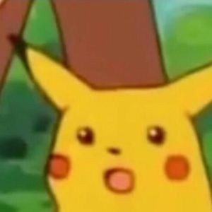 Meet your Posher, Connor